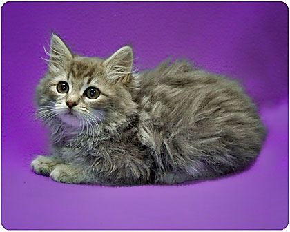 Baby Teddy=Fuzzy!
