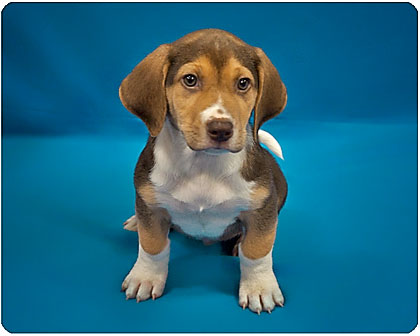 Baby Twix
