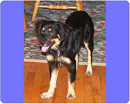 Tennessee_Adopted
