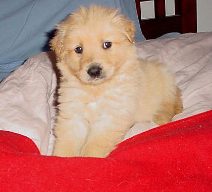 Baby Gideon