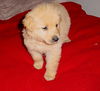 Baby Gideon