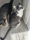 Zz_Jackson & Grace_Courtesy Post