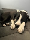 Zzz_Tiny_Courtesy