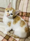 Lacie