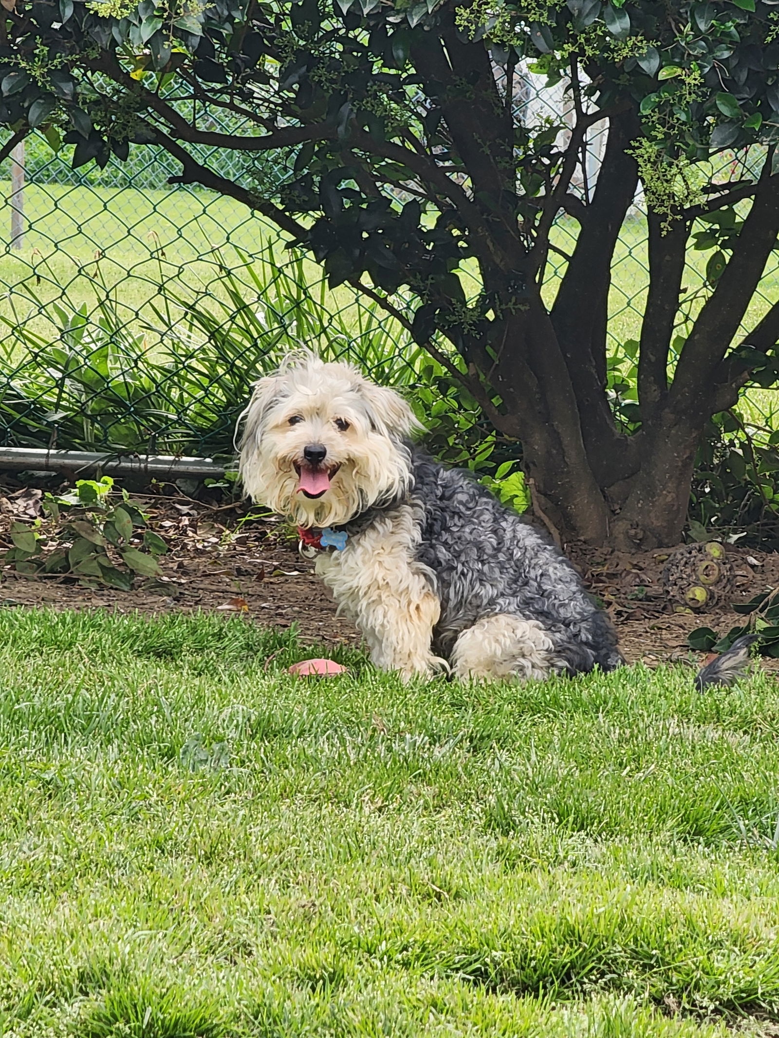 Barkley