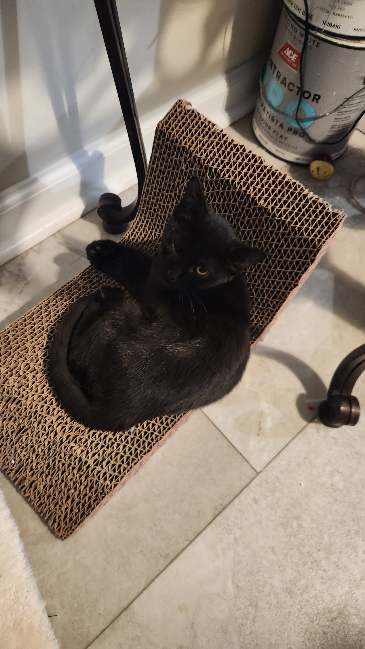 Luna