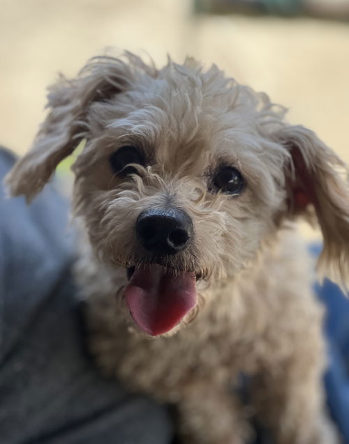 ALAN