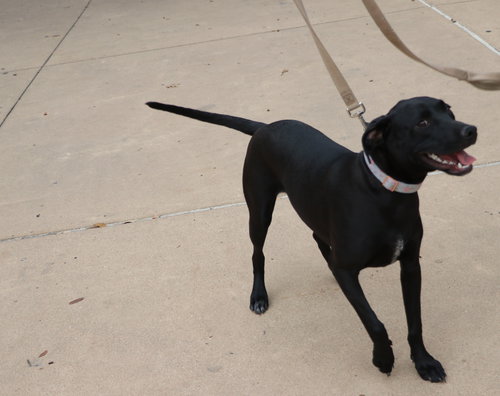 Dottie Hinson photo 2