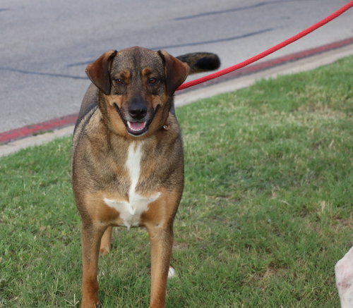 Sam photo 4