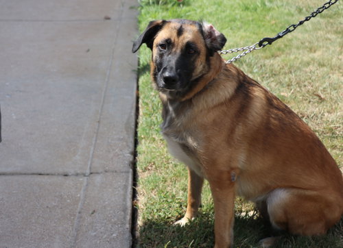 Zadie photo 4
