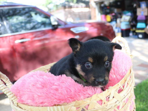 Serene photo 2