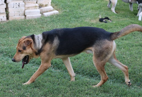 Butters photo 2