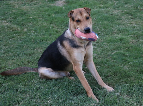 Butters photo 3