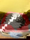 Soot