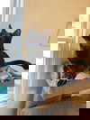 Zoey