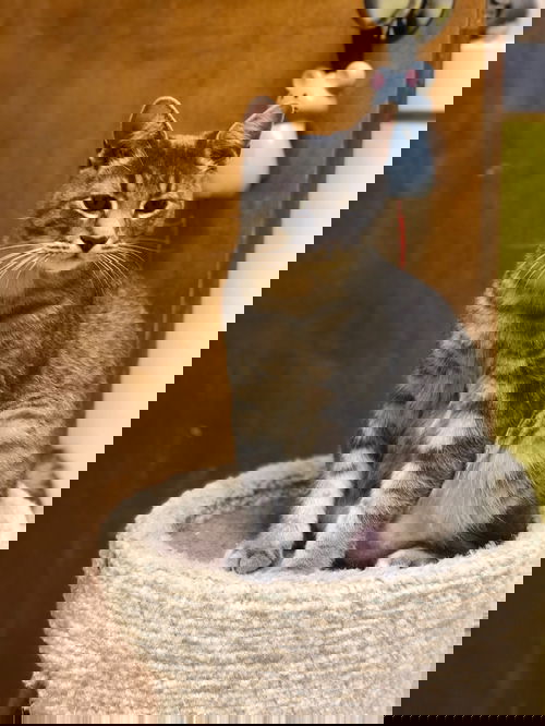 Sam