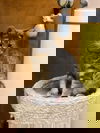 Sam