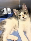 Willie
