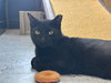 Onyx