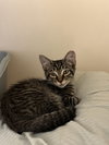 Charley Jr.