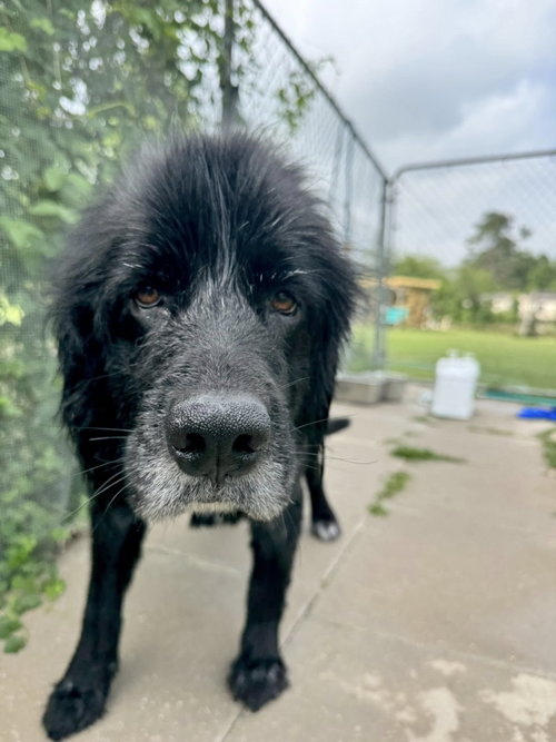 HILDY - HOUSTON TX photo 4