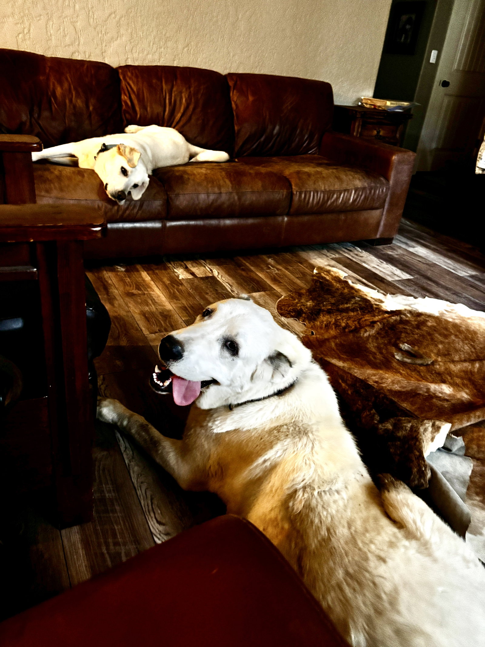 THELMA- OKLAHOMA, photo 8