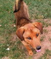 Buster