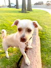 Buster