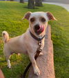 Buster