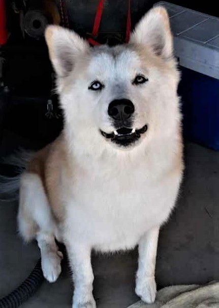 Coco