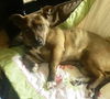 Sampson