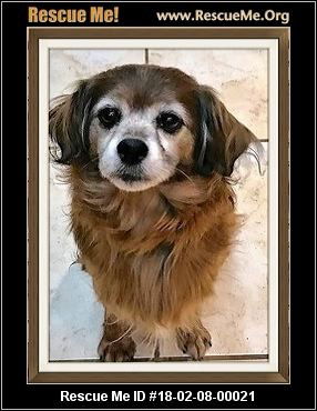 Scarlet- Senior Alert