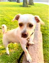 Buster