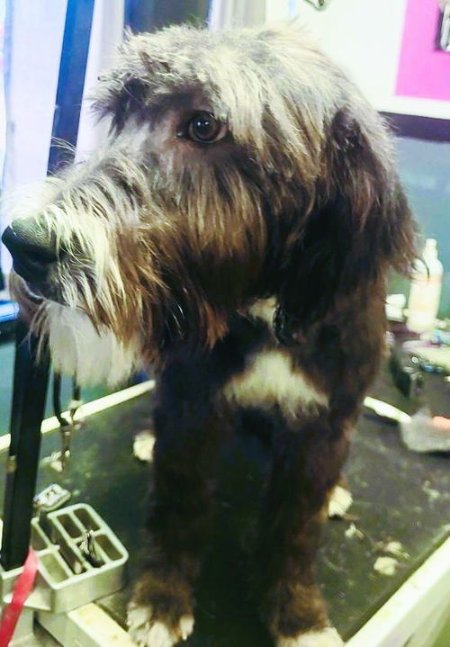 Walter