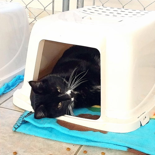 Photo 4 of Cinder