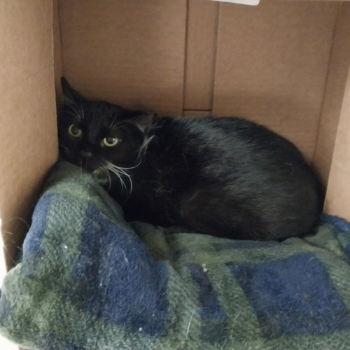 Photo 2 of Delilah