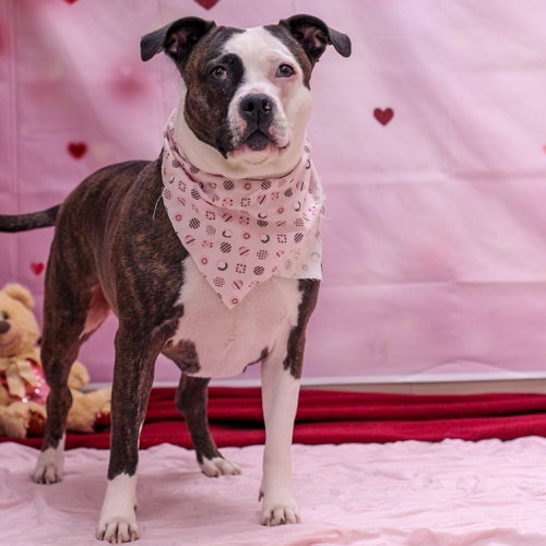 Photo 3 of Luna Lou