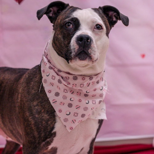 Photo 4 of Luna Lou