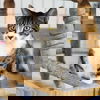 adoptable Cat in spencer, NY named Mookie