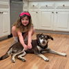 adoptable Dog in  named Coco