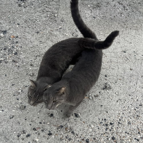 Photo 2 of Lloyd & Larry