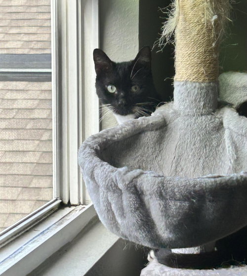 Photo 2 of Echo