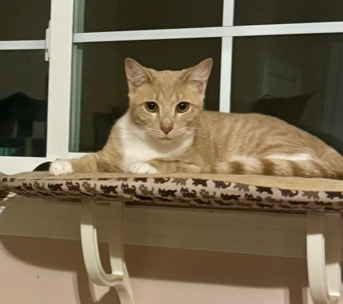 Photo 2 of Pavlo =^.^=