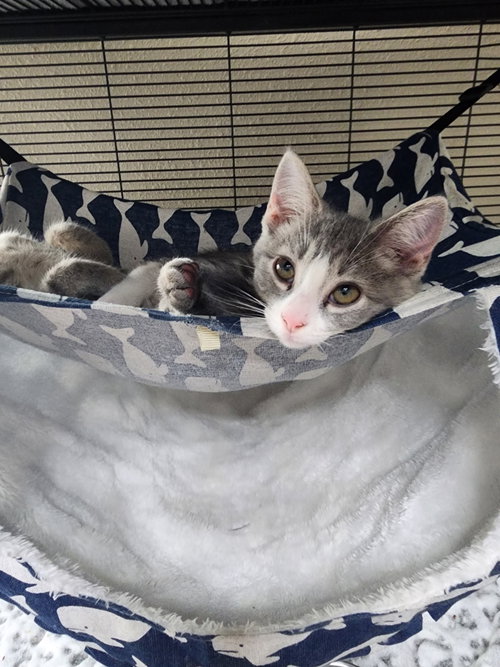 McKenna =^.^=