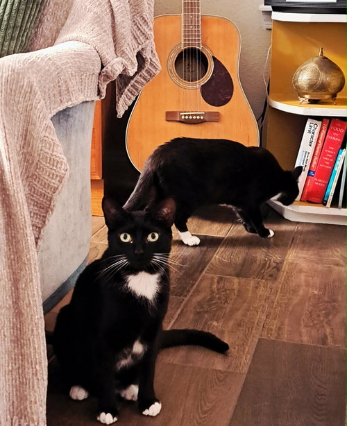 Zip & Zulu photo 3