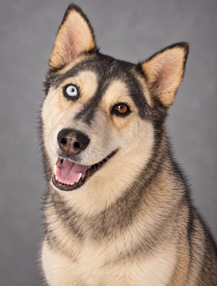 Mishka