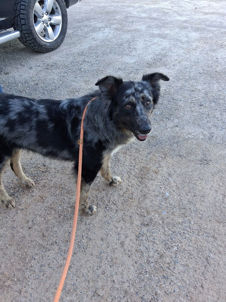 Rango, photo 2