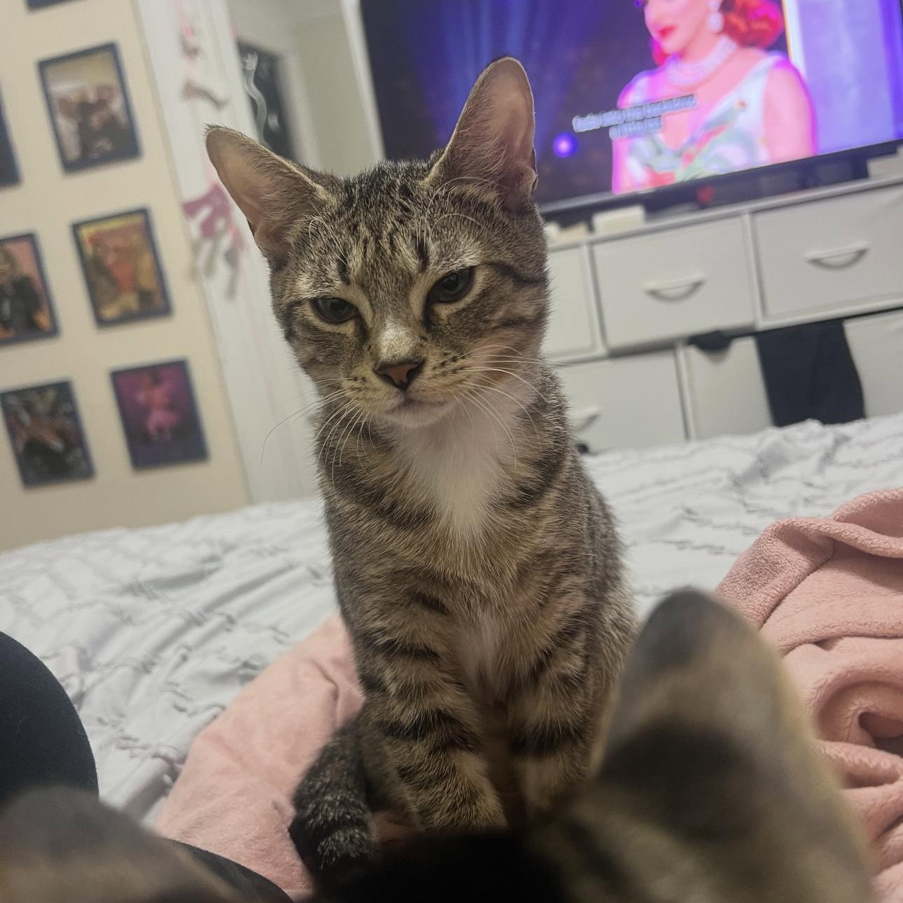 Minnie