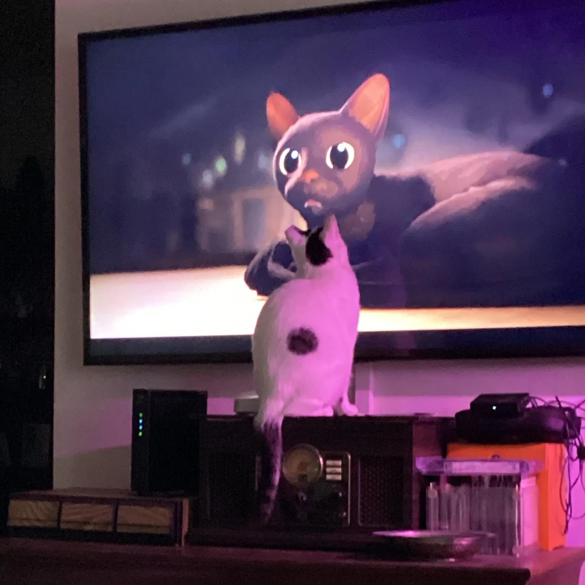 Suki image 2