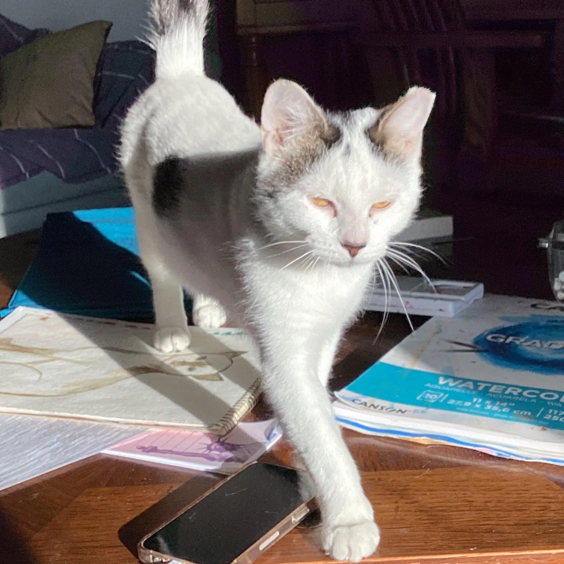 Suki image 3